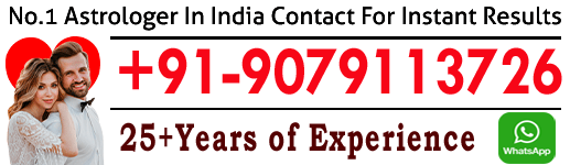 Famous Astrologer Ramakant